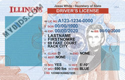 Fake ID template editing help guide.