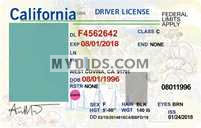 MyoIDs fake id template example that you can download for free.